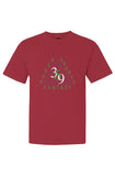 369 Comfort Colors Heavyweight T Shirt